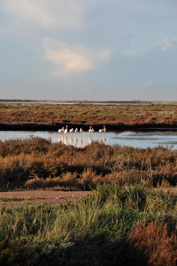 Отель Salines Йер Экстерьер фото